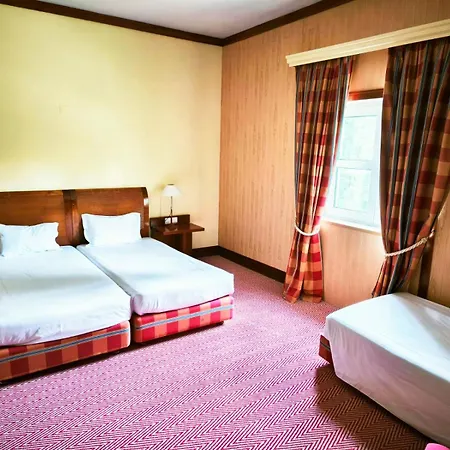 Hotel Golden Tulip 4*