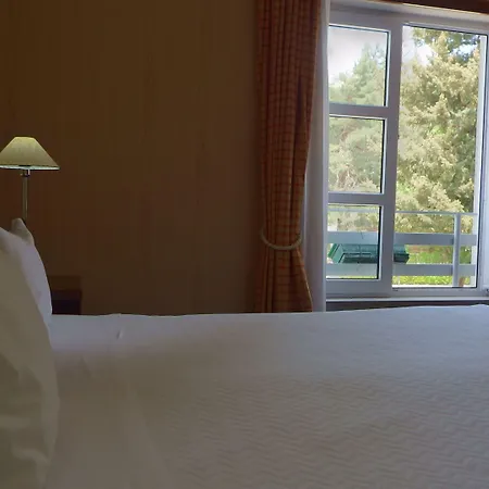 호텔 Golden Tulip 4*