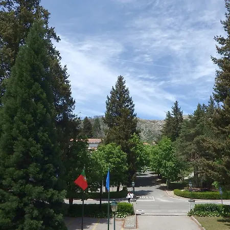 Hotel Golden Tulip &