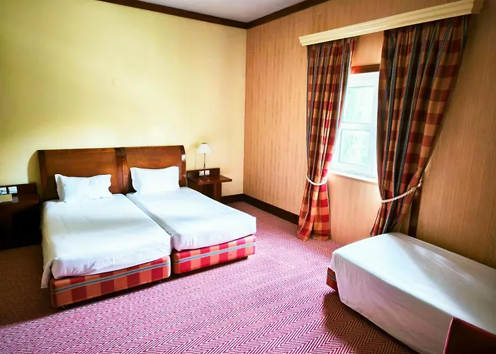 酒店 Golden Tulip 4*