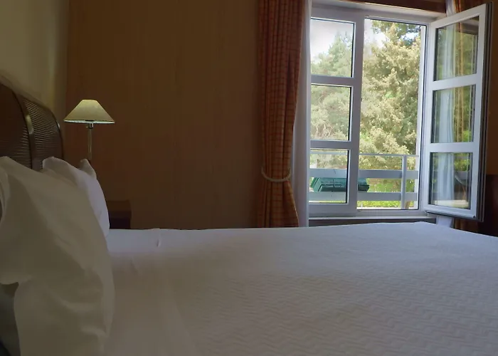 酒店 Golden Tulip 4*