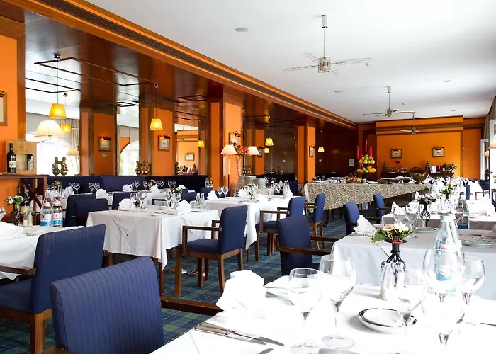 酒店 Golden Tulip 4*