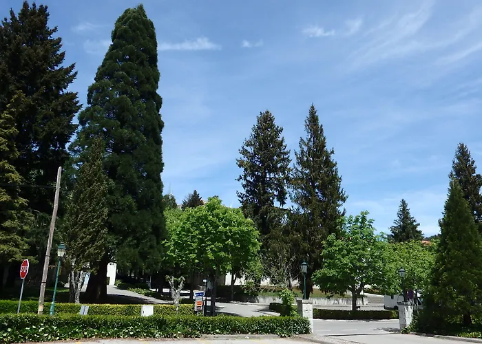 Hotel Golden Tulip Caramulo